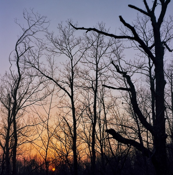 Sheltowee Trace sunset 7.jpg